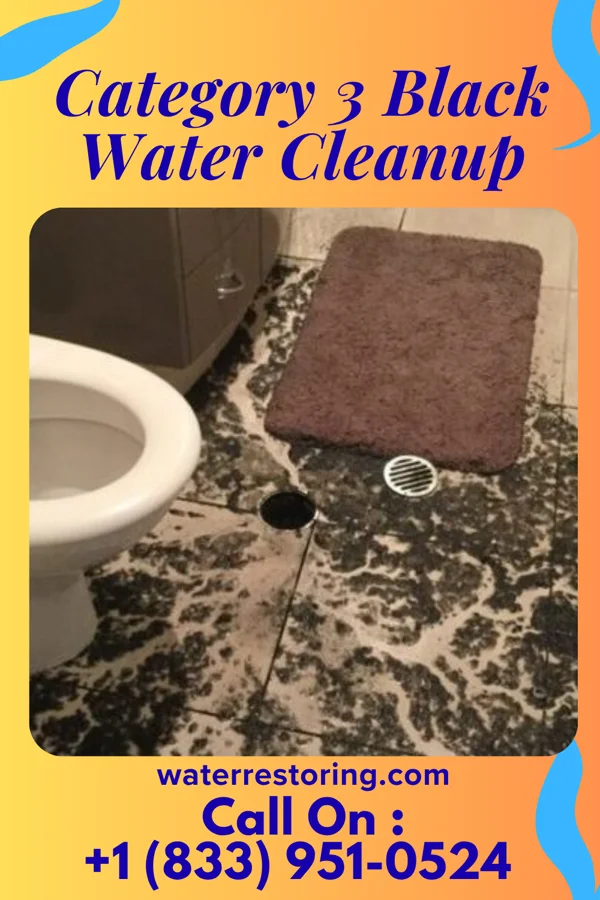 Category 3 Black Water Cleanup in Clear Lake, WI
